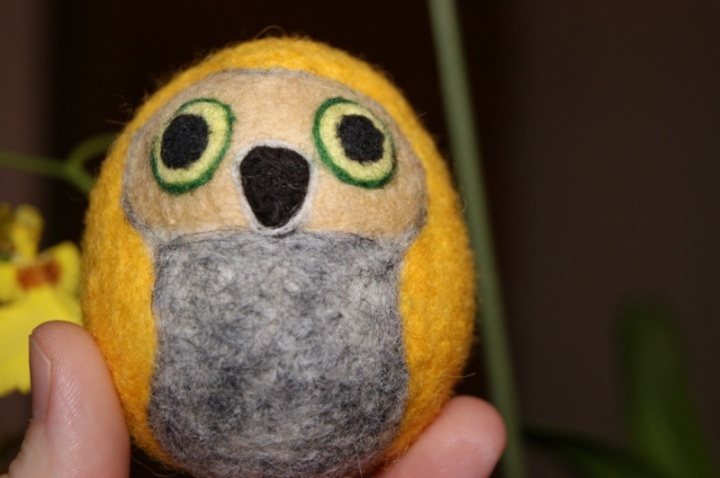 Owlet picture no. 2