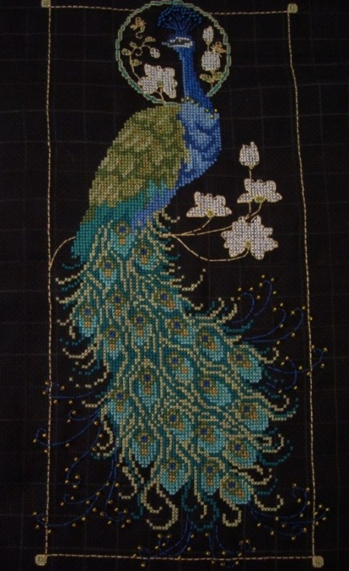 Peacock picture no. 2