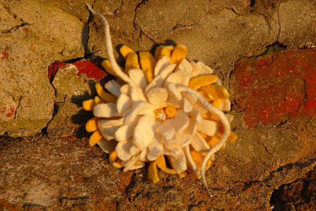 yellow-white dahlia