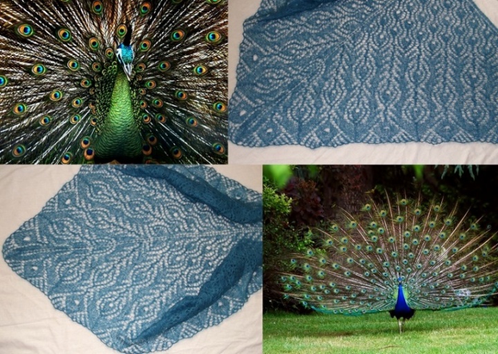 Peacock feather scarf picture no. 3