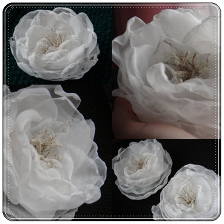 Sage " white flowers & quot ;. picture no. 2