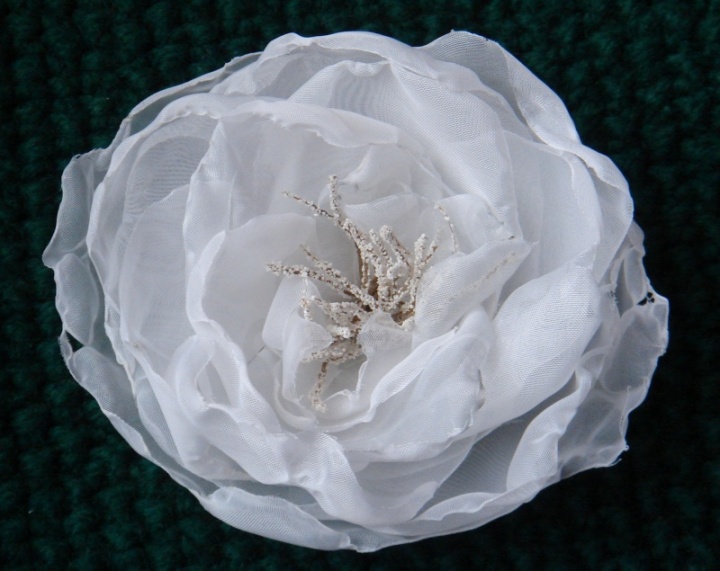 Sage " white flowers & quot ;. picture no. 3