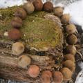 necklace - Necklaces - felting