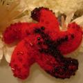 sea ​​Star - Brooches - felting