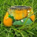 Wallet :) - Handbags & wallets - felting