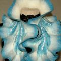 Wool scarf - Scarves & shawls - felting